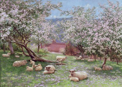Appleblossom by William Biscombe Gardner
